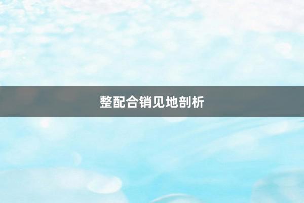 整配合销见地剖析